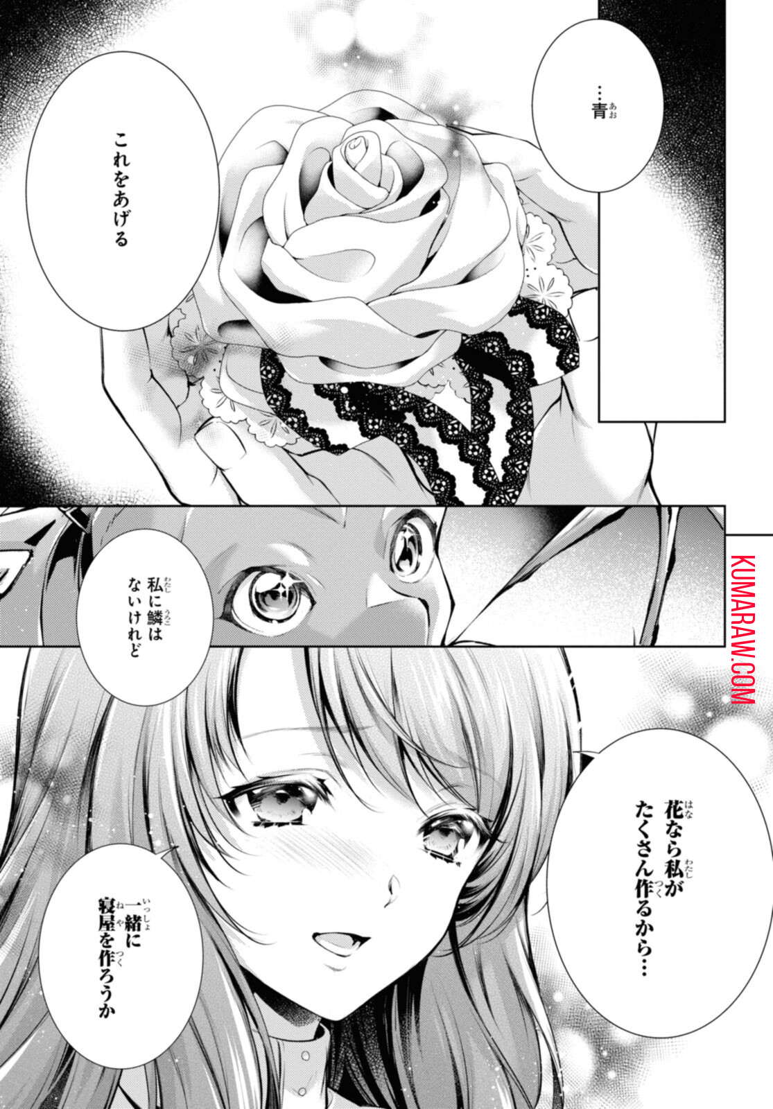 竜騎士のお気に入り 第28.1話 - Page 6