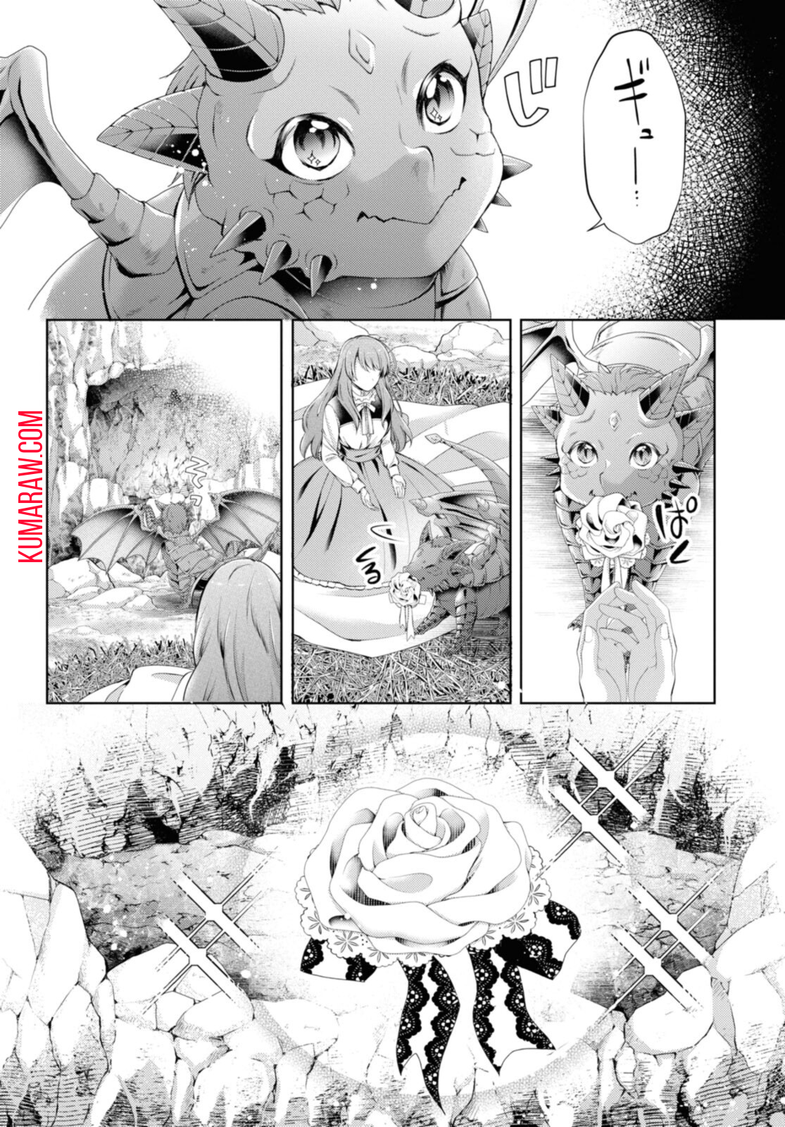 竜騎士のお気に入り 第28.1話 - Page 6