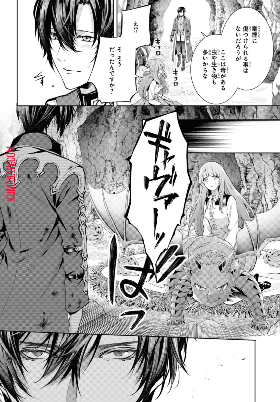 竜騎士のお気に入り 第28.2話 - Page 6