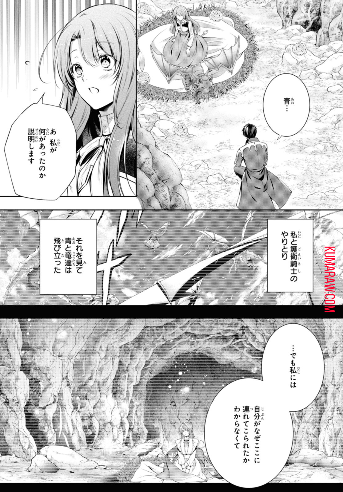 竜騎士のお気に入り 第28.2話 - Page 8