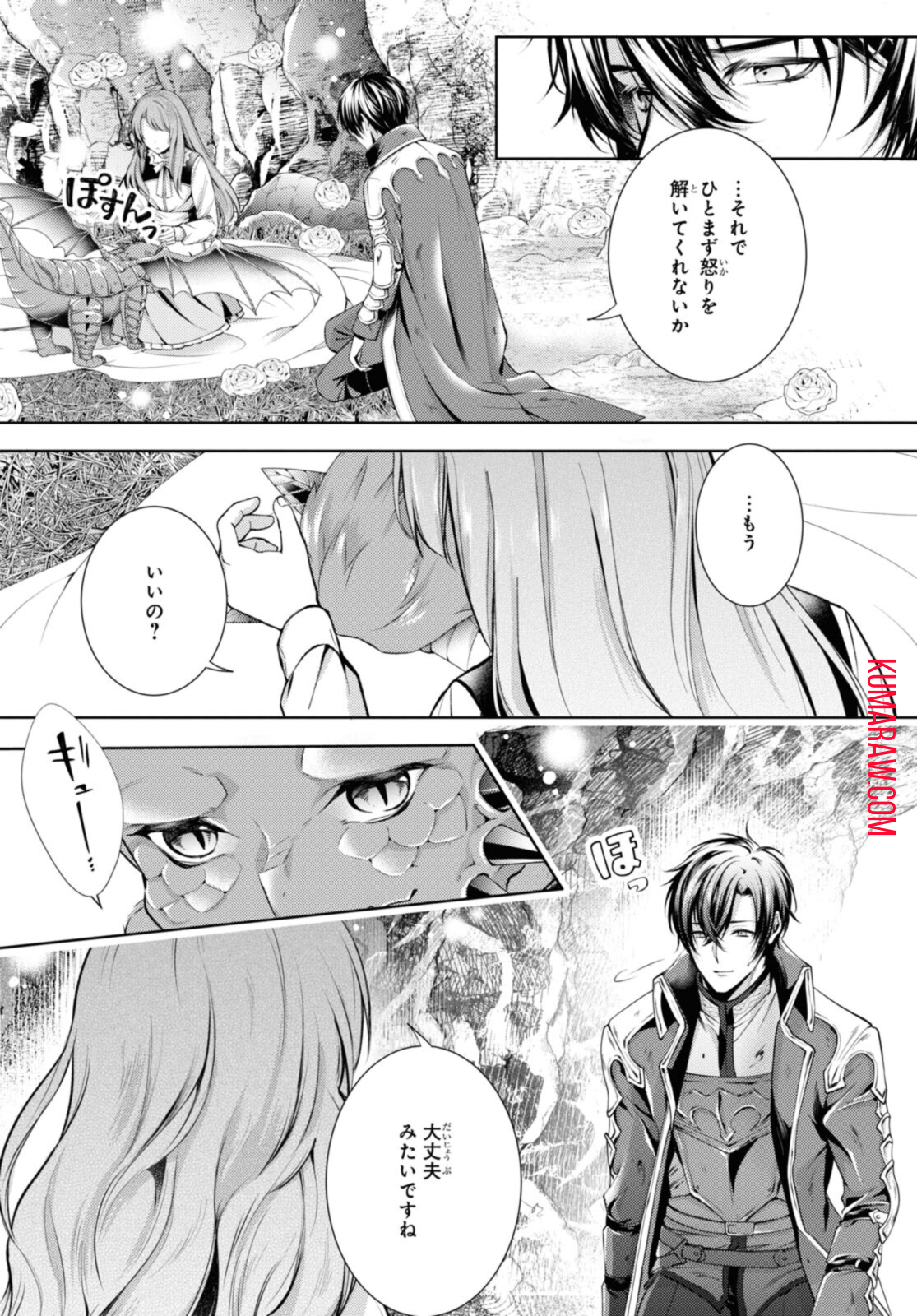 竜騎士のお気に入り 第28.2話 - Page 9