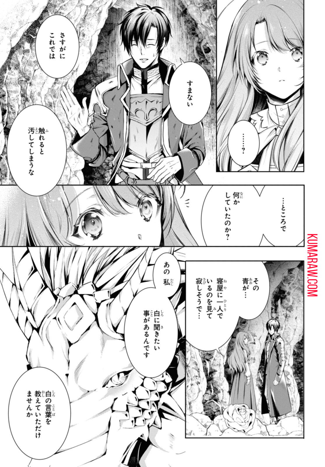 竜騎士のお気に入り 第28.2話 - Page 12