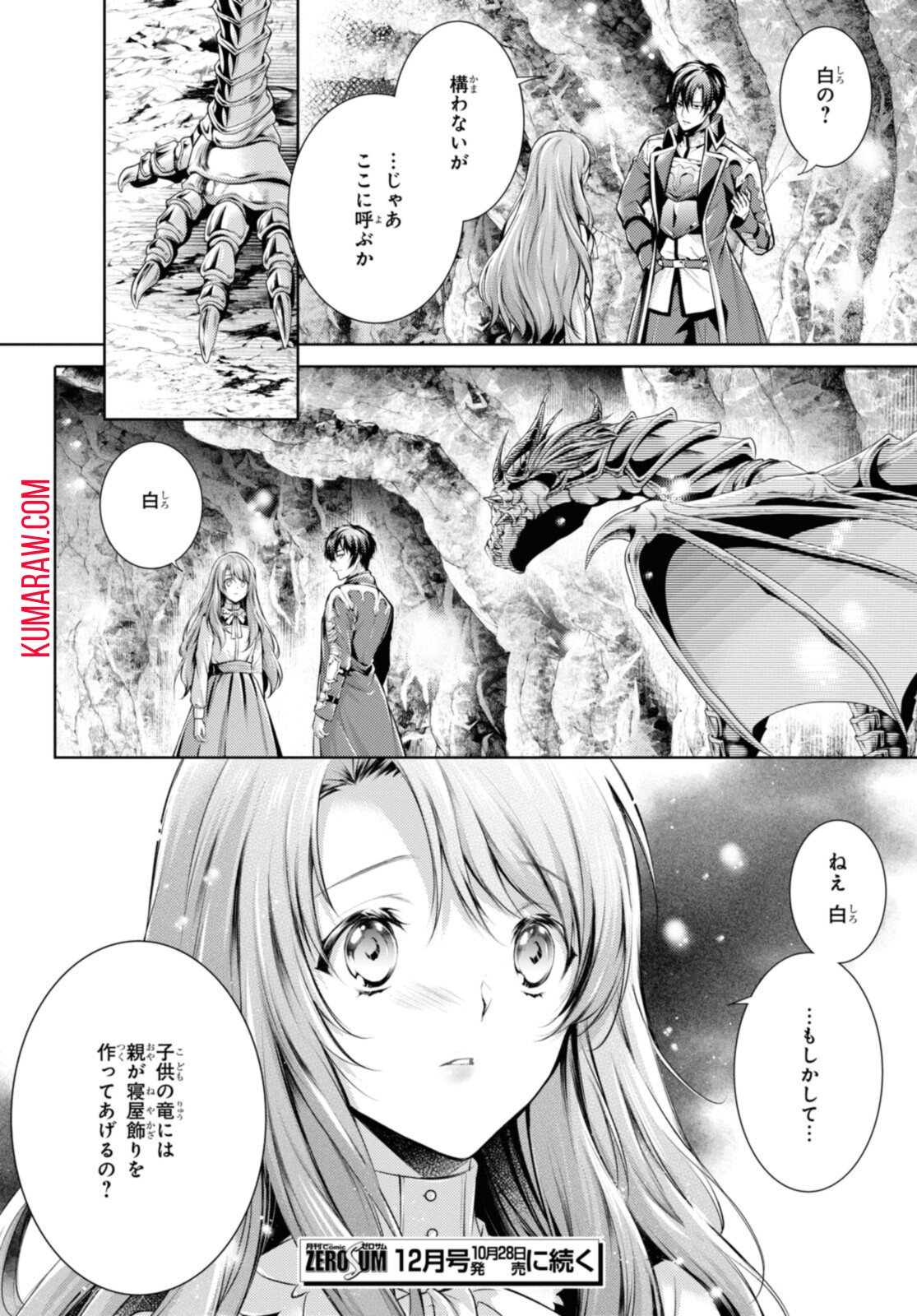 竜騎士のお気に入り 第28.2話 - Page 12