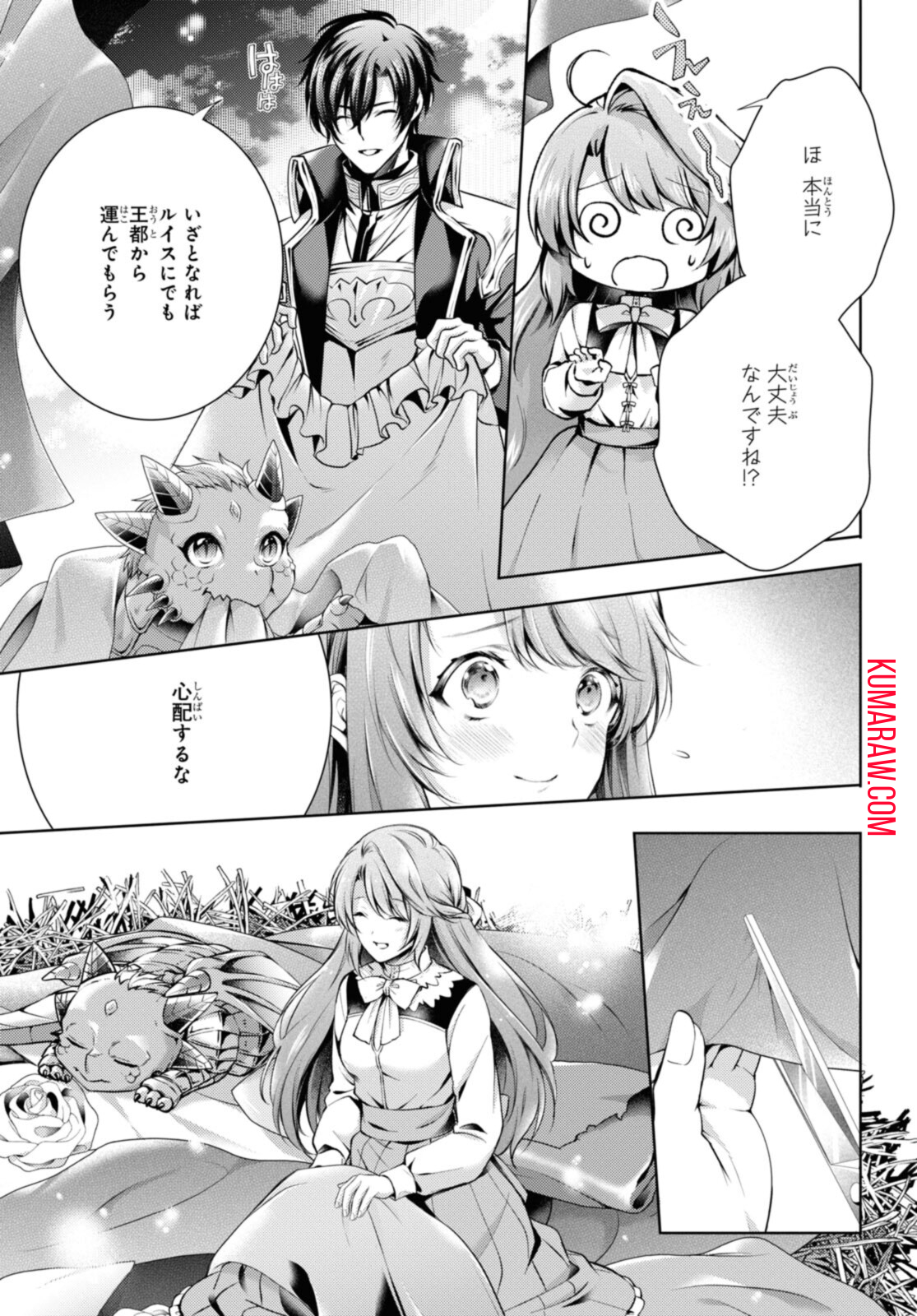 竜騎士のお気に入り 第30.2話 - Page 1