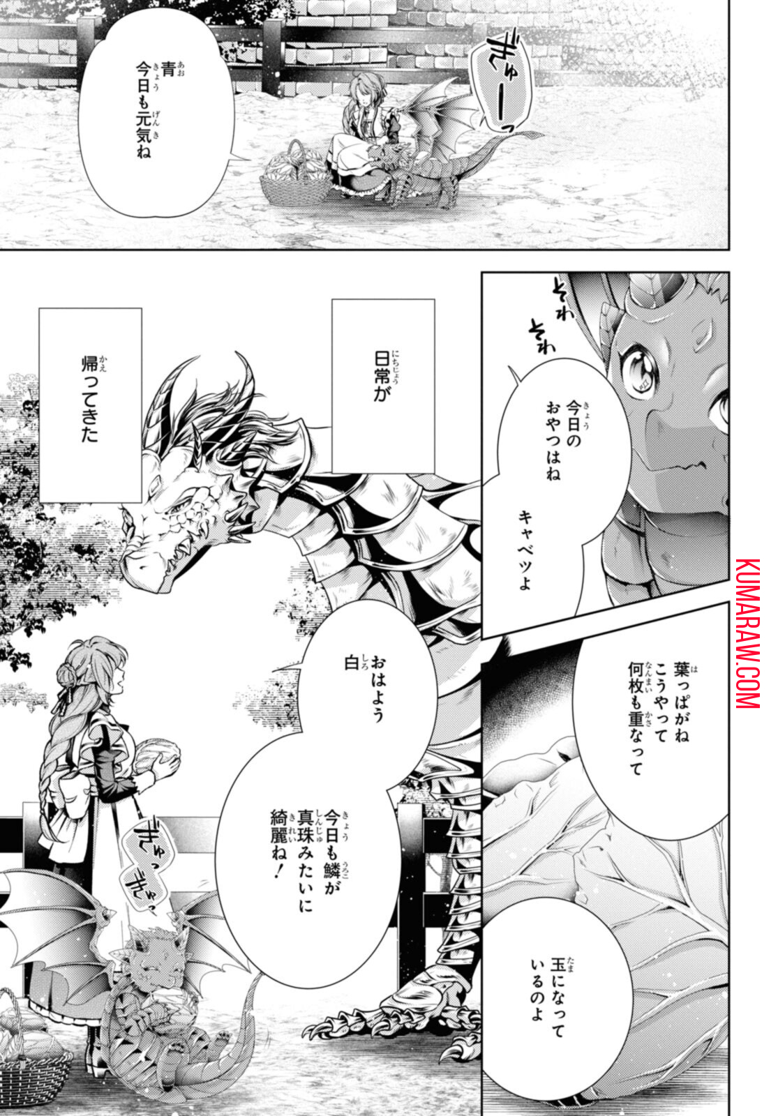 竜騎士のお気に入り 第31.1話 - Page 14