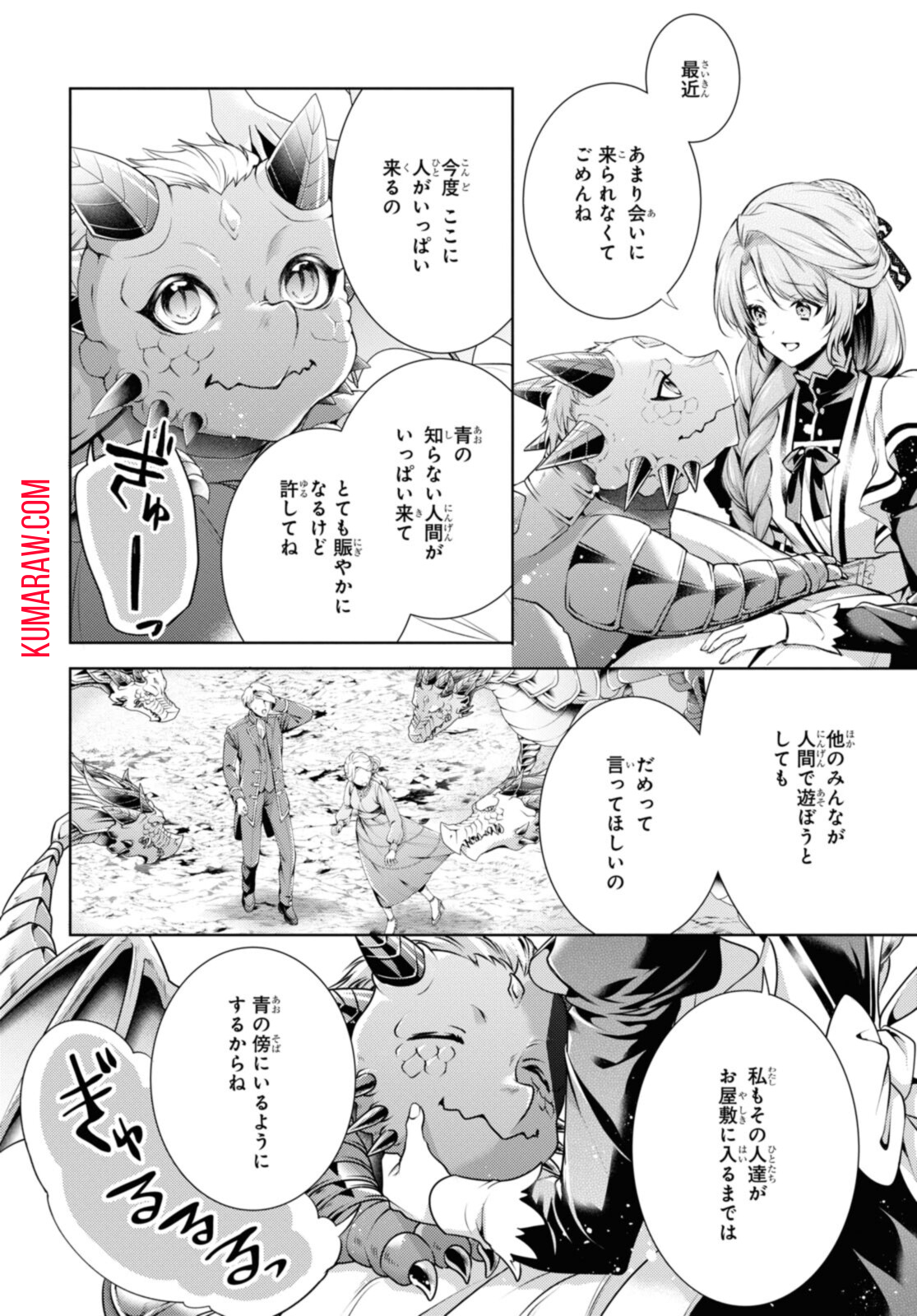 竜騎士のお気に入り 第33.1話 - Page 11