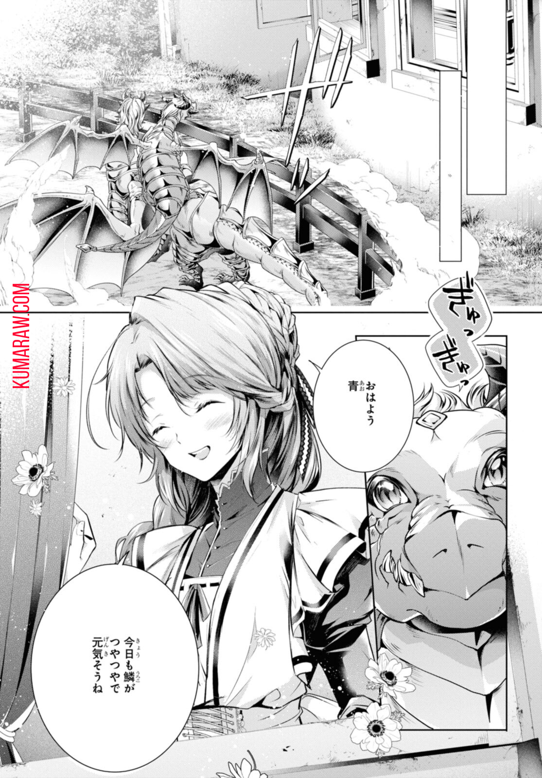 竜騎士のお気に入り 第35.2話 - Page 3