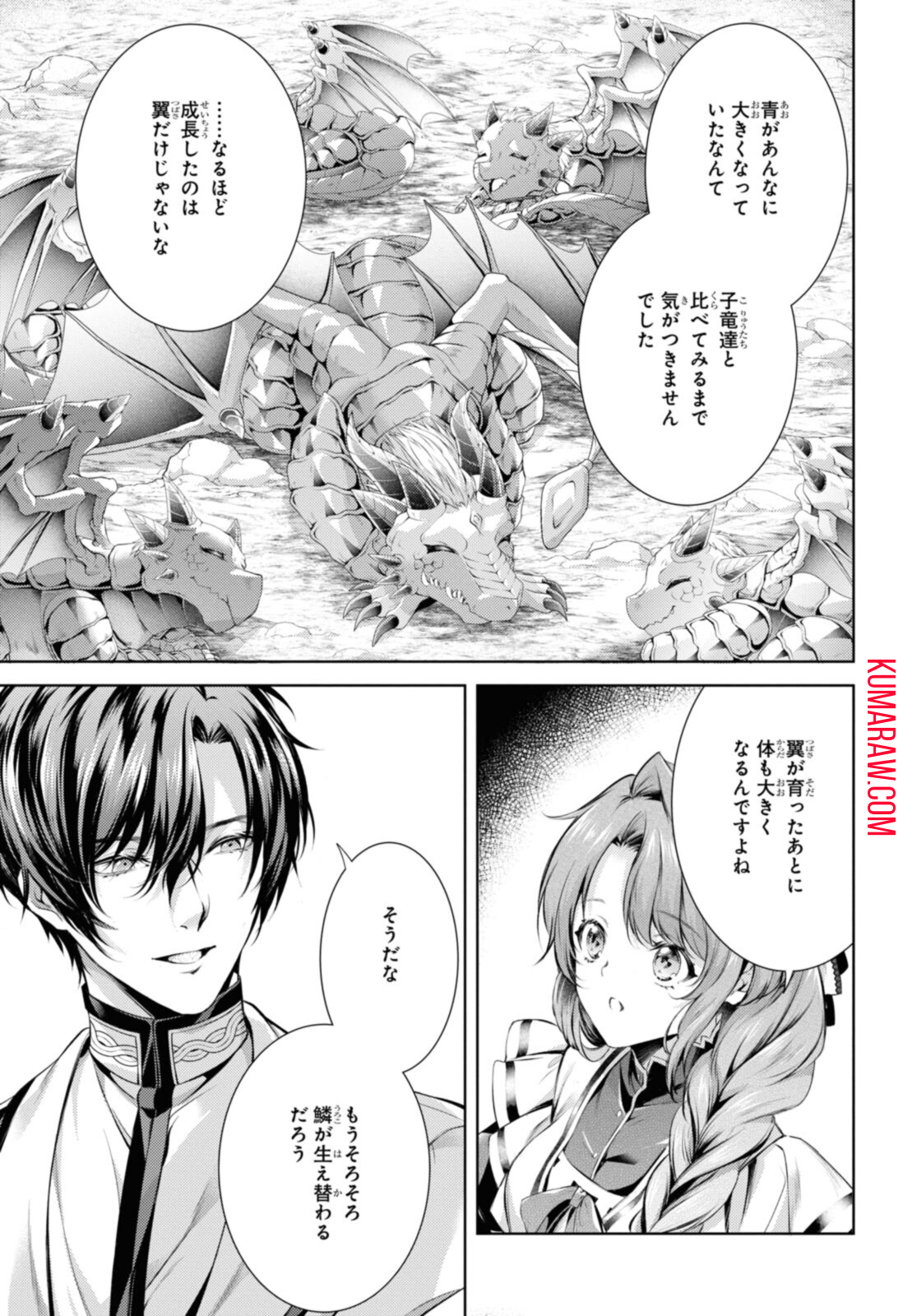 竜騎士のお気に入り 第36.1話 - Page 3