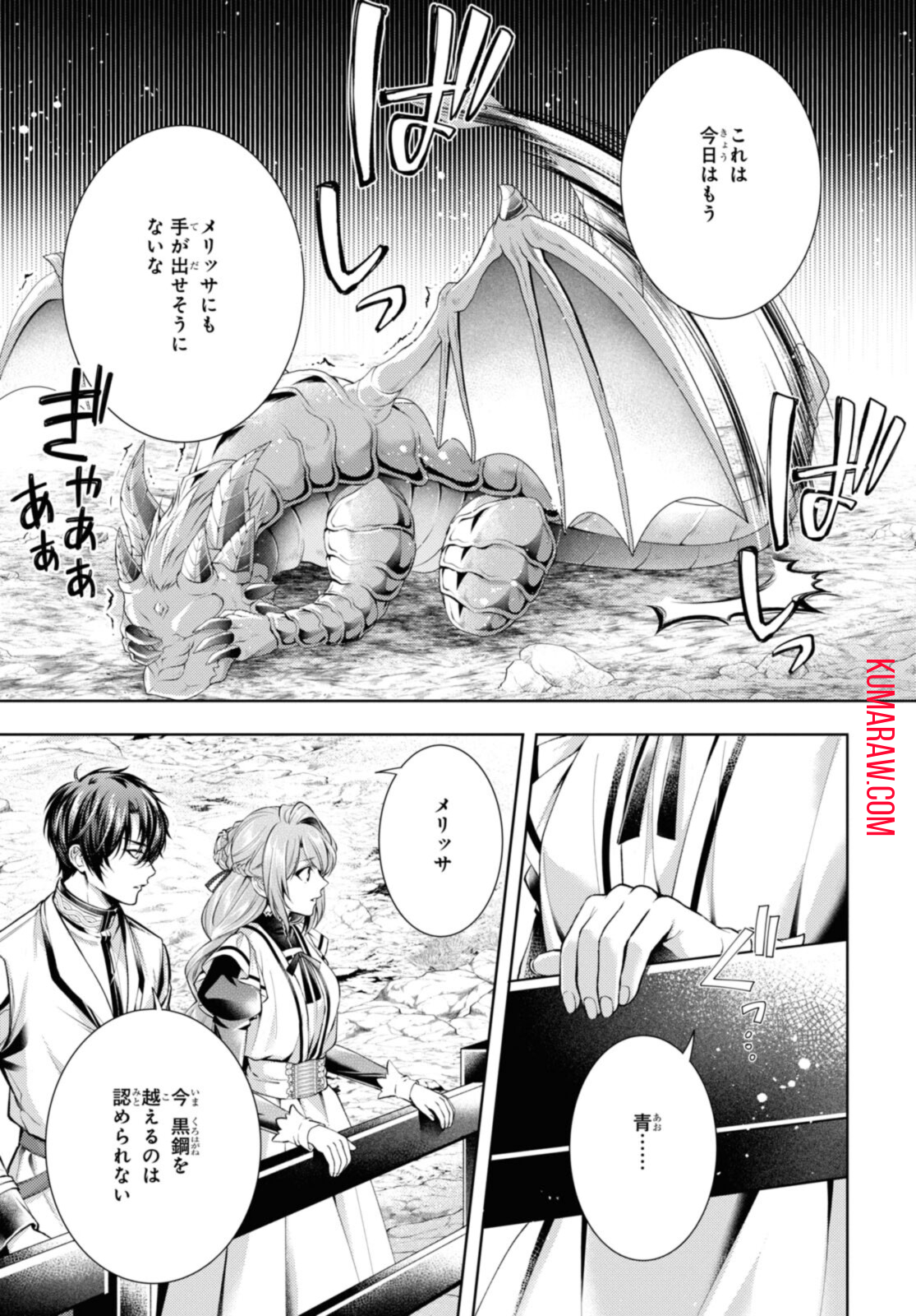 竜騎士のお気に入り 第36.2話 - Page 10