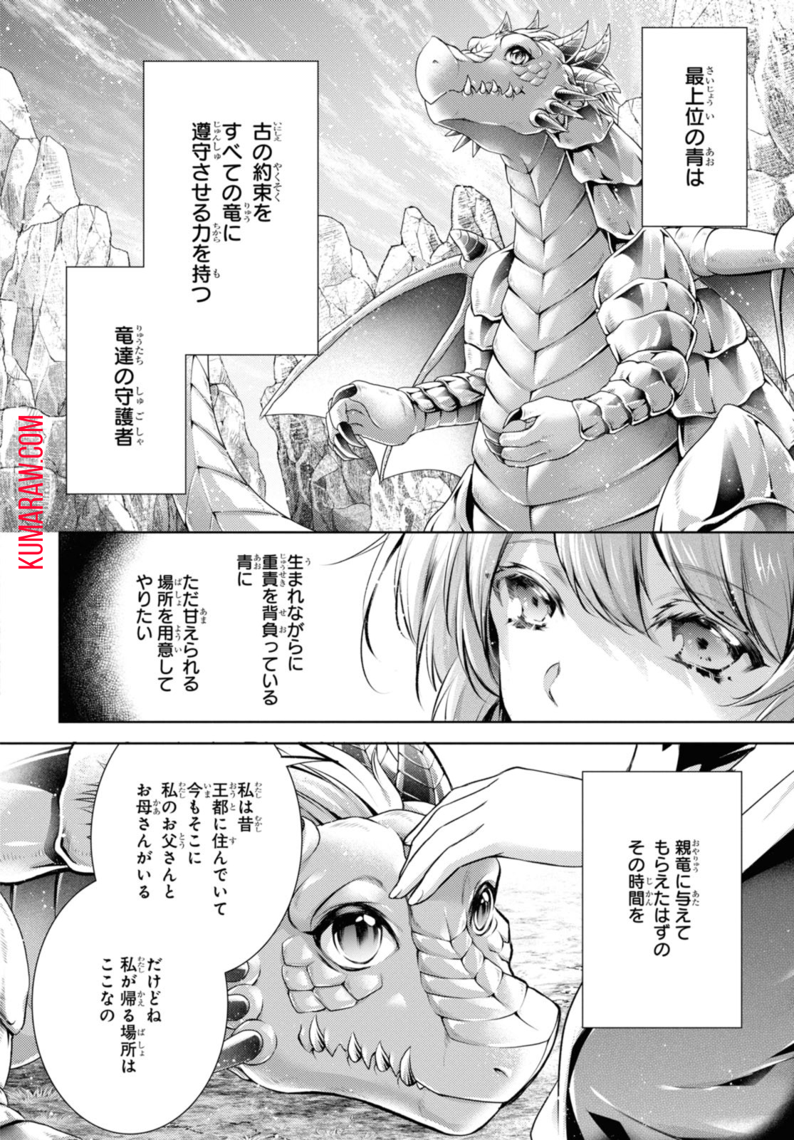 竜騎士のお気に入り 第37.1話 - Page 11