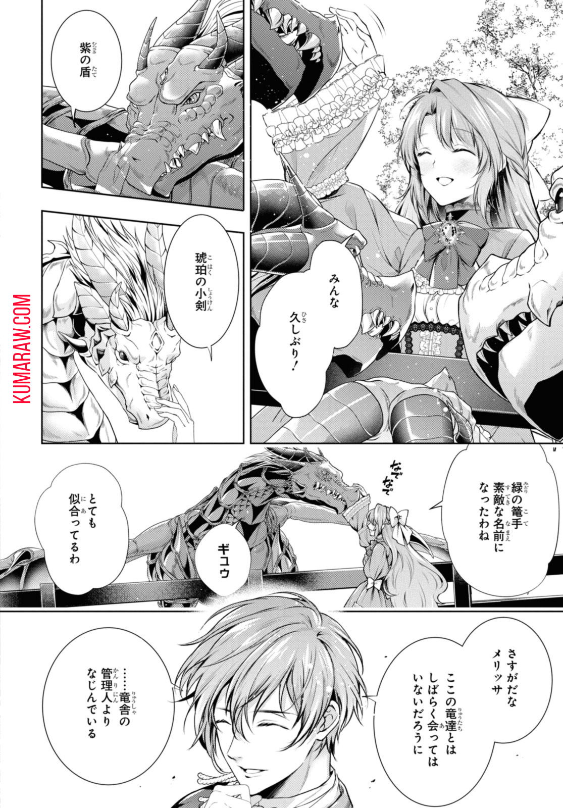 竜騎士のお気に入り 第40.2話 - Page 6