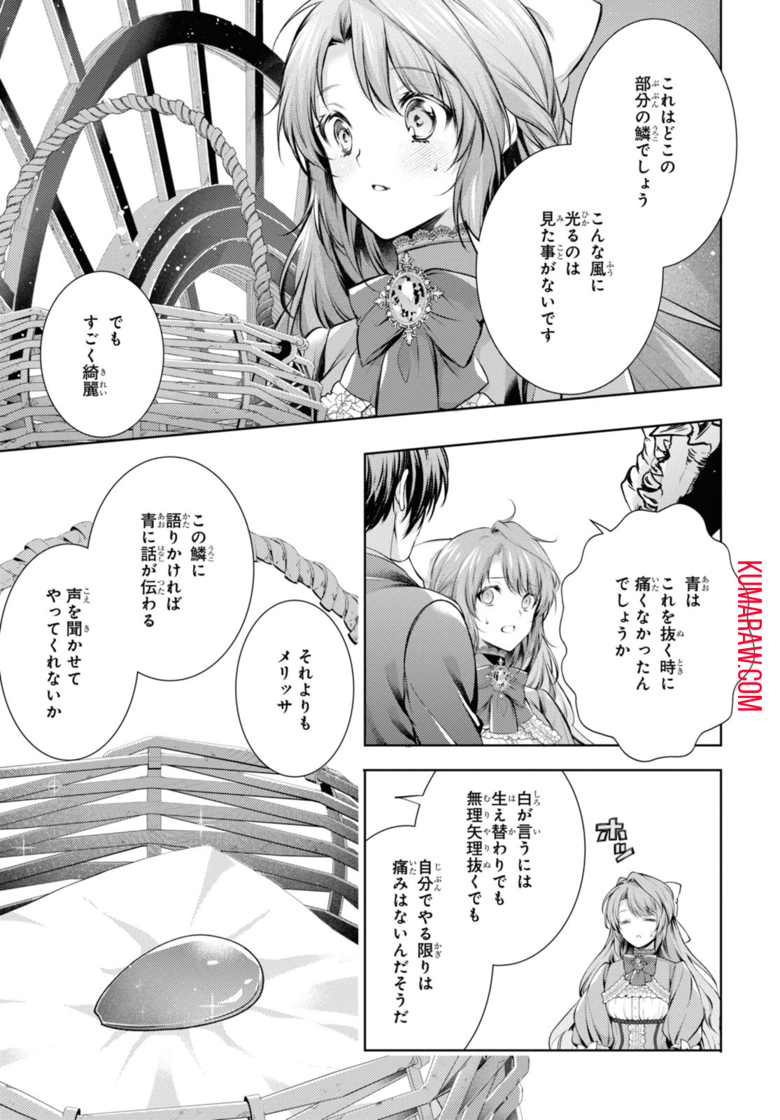 竜騎士のお気に入り 第40.2話 - Page 14