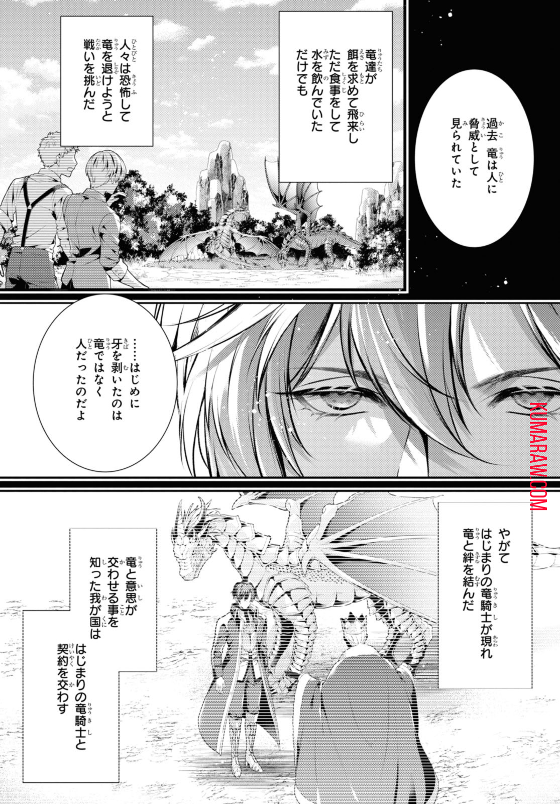 竜騎士のお気に入り 第41.1話 - Page 10