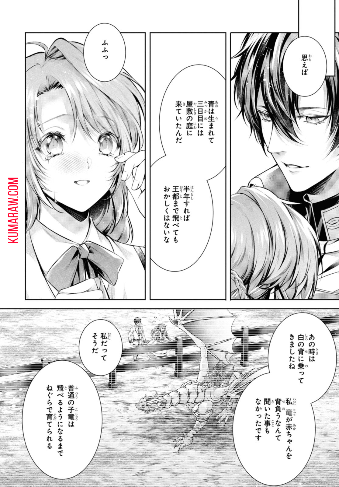 竜騎士のお気に入り 第42.1話 - Page 6