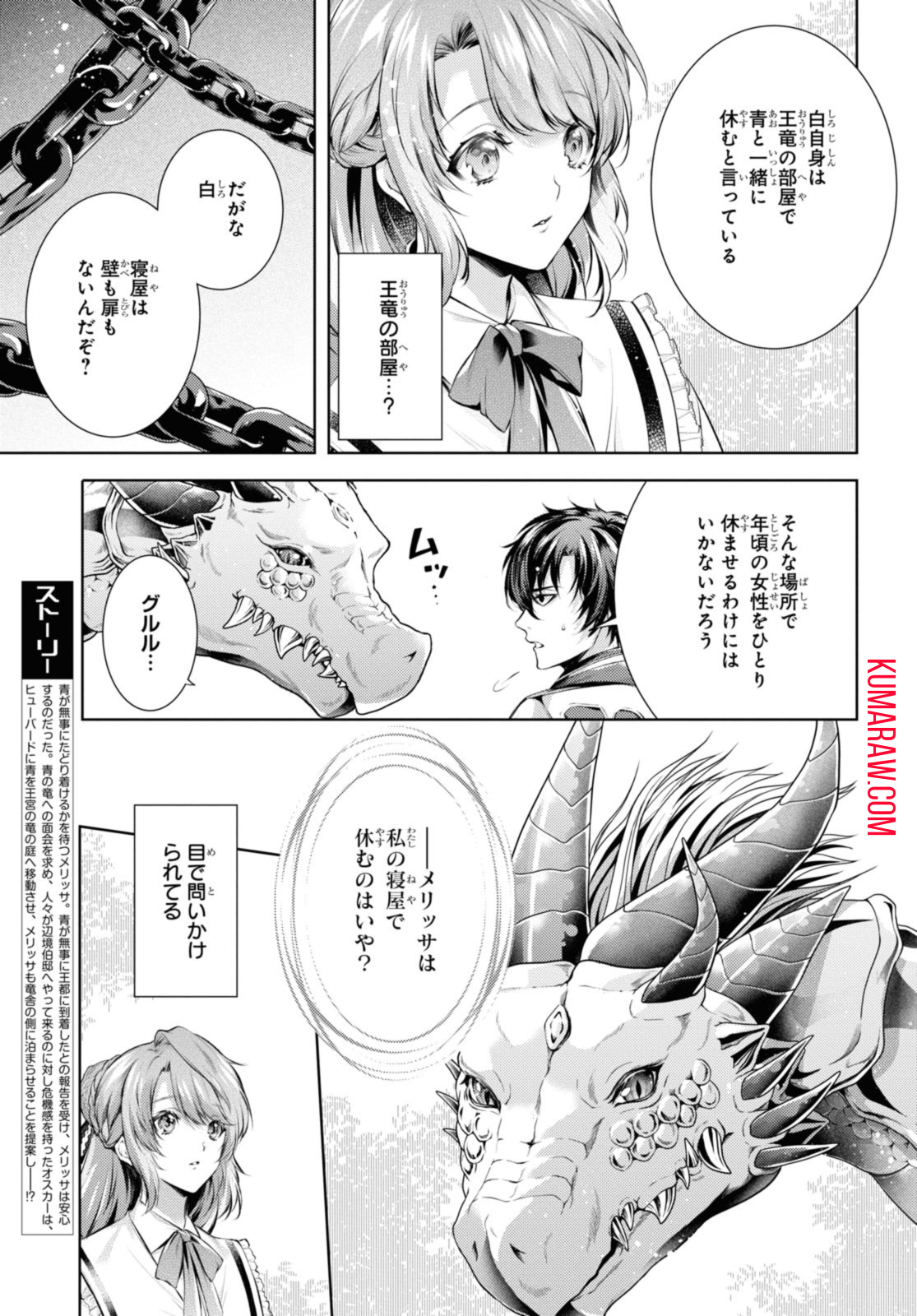 竜騎士のお気に入り 第43.1話 - Page 3