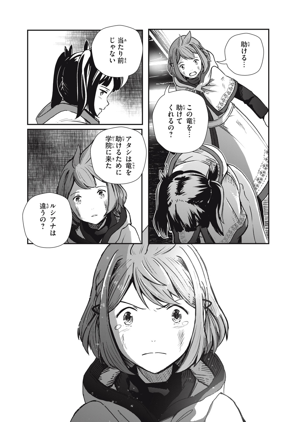 竜医のルカ 第7話 - Page 4