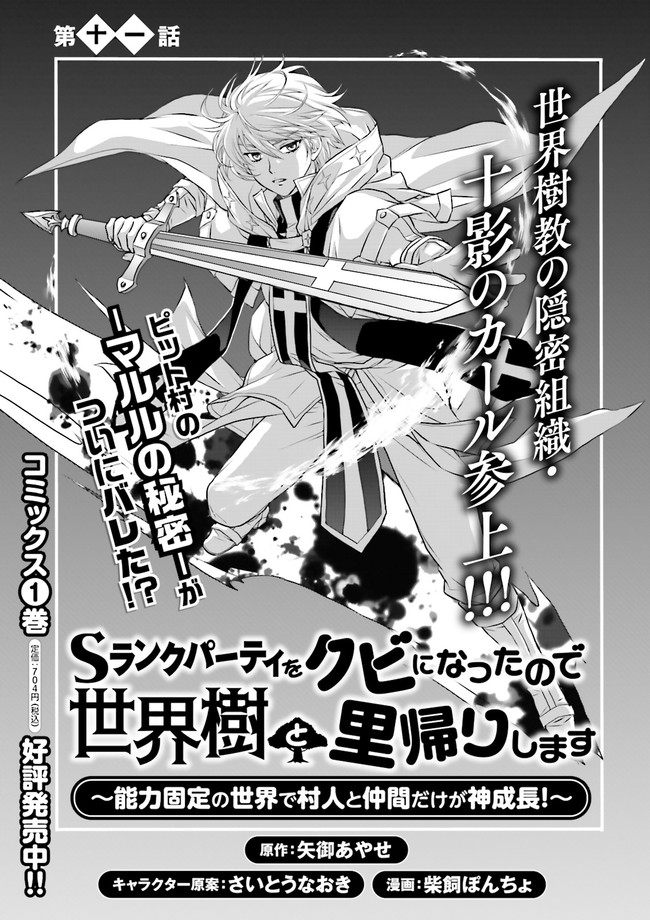 Sランクパーティをクビになったので世界樹と里帰りします～能力固定の世界で村人と仲間だけが神成長！～ 第11.1話 - Page 1