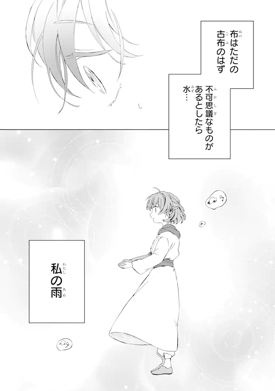 砂漠の国の雨降らし姫～前世で処刑された魔法使いは農家の娘になりました～ 第1話 - Page 39