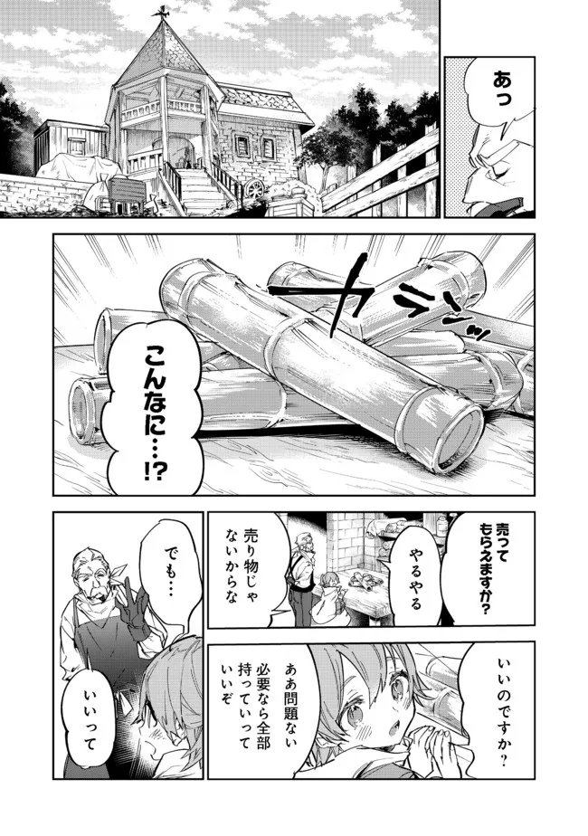 最弱テイマーはゴミ拾いの旅を始めました。@COMIC 第11.1話 - Page 5