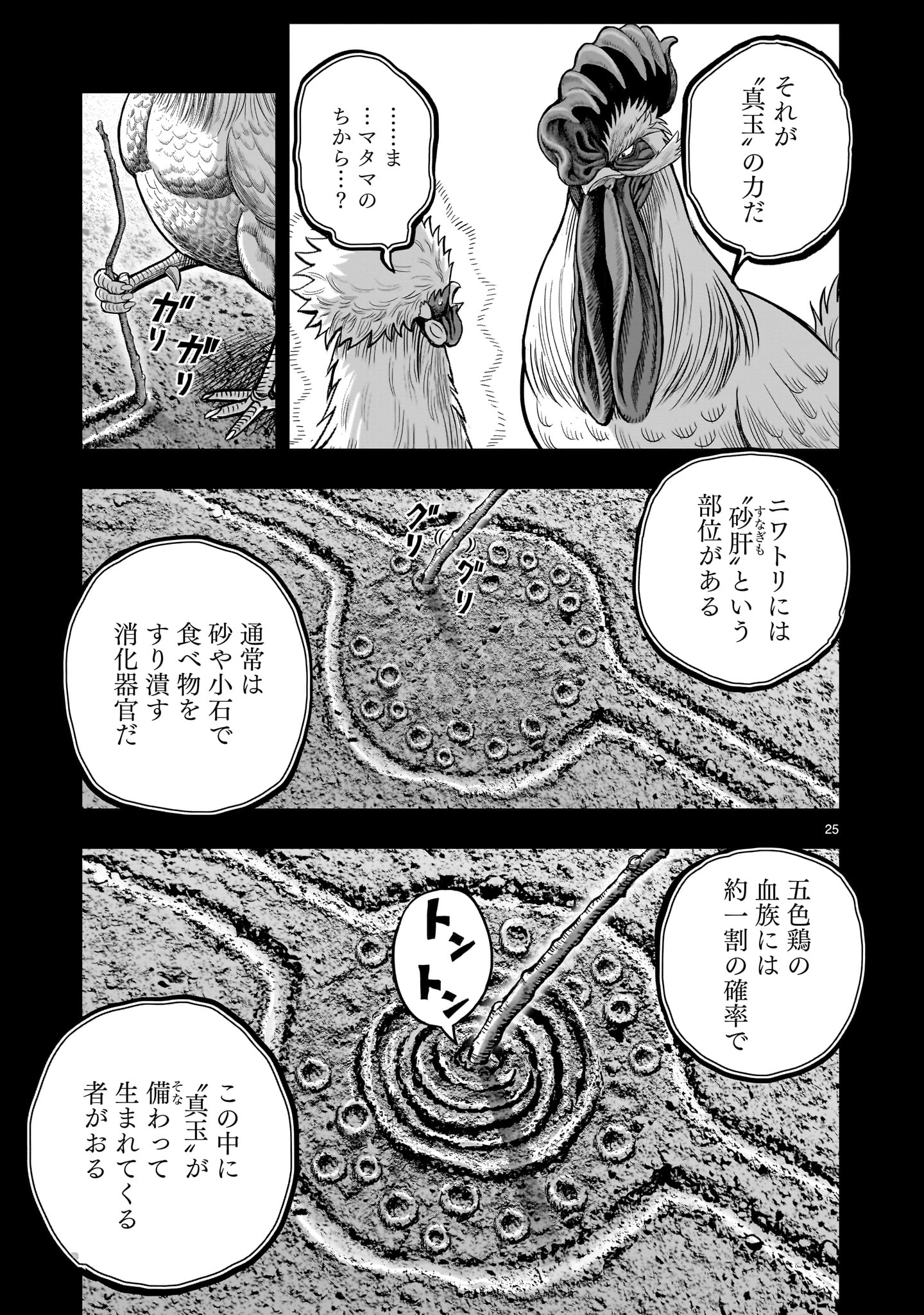 Saint Seiya: Meiou Iden – Dark Wing 第26話 - Page 25