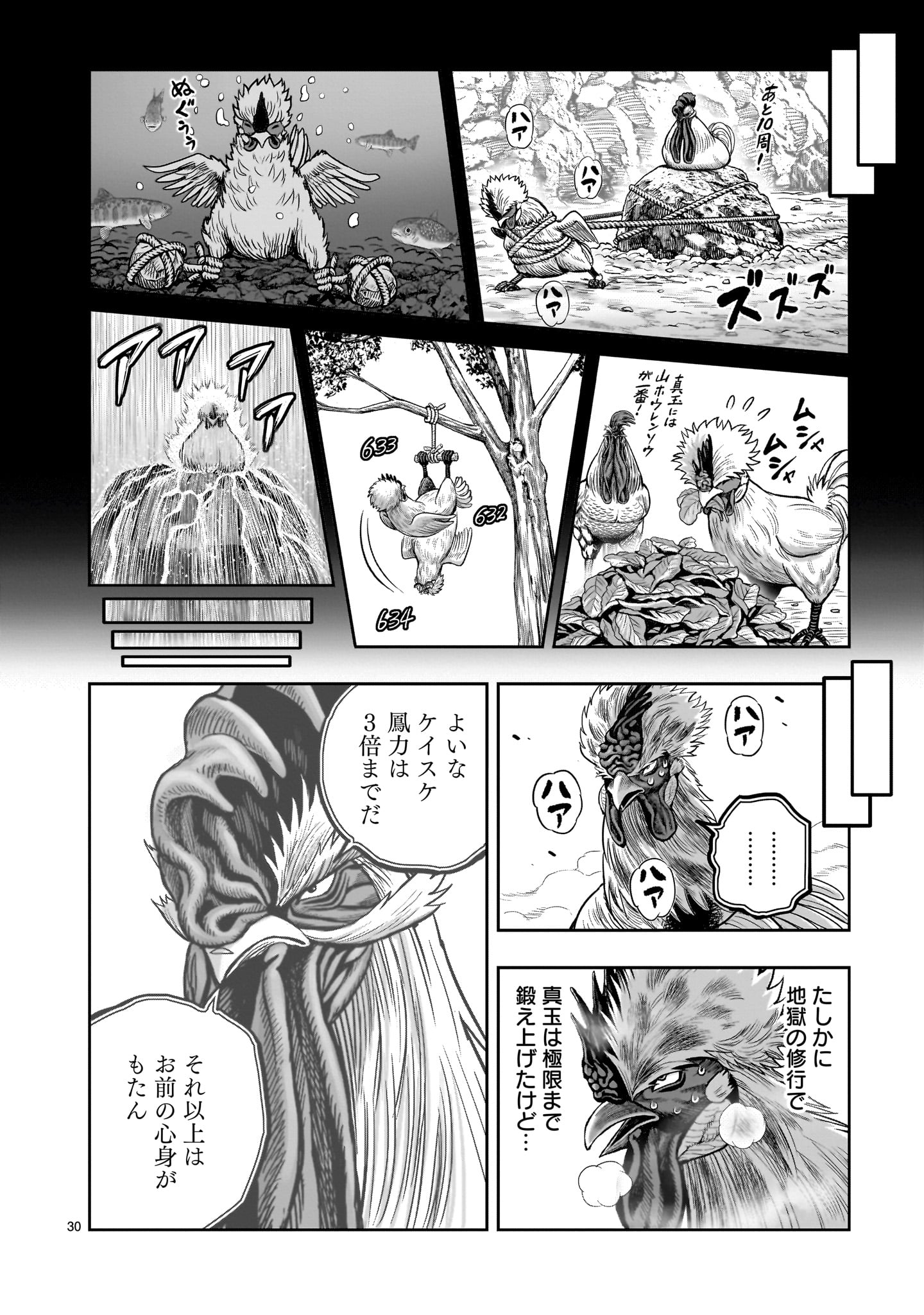 Saint Seiya: Meiou Iden – Dark Wing 第26話 - Page 30