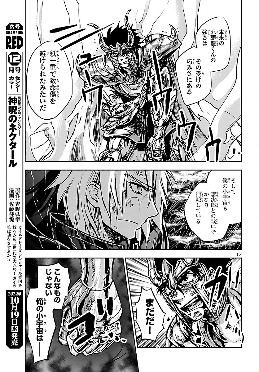 聖闘士星矢・冥王異伝 ダークウィング 第18話 - Page 17