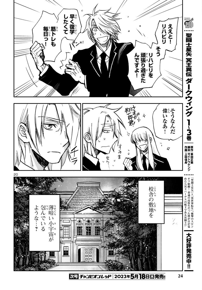 聖闘士星矢・冥王異伝 ダークウィング 第23話 - Page 21