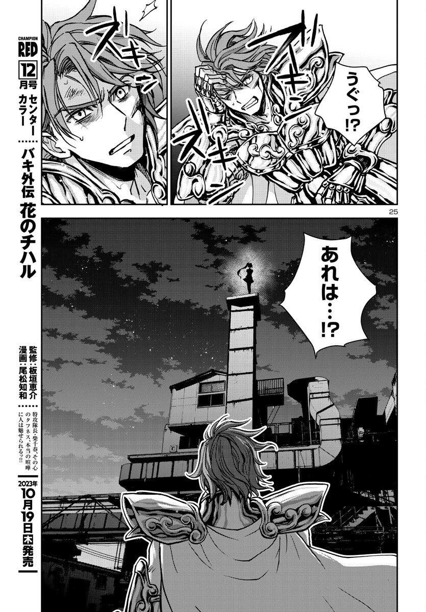 聖闘士星矢・冥王異伝 ダークウィング 第27話 - Page 25