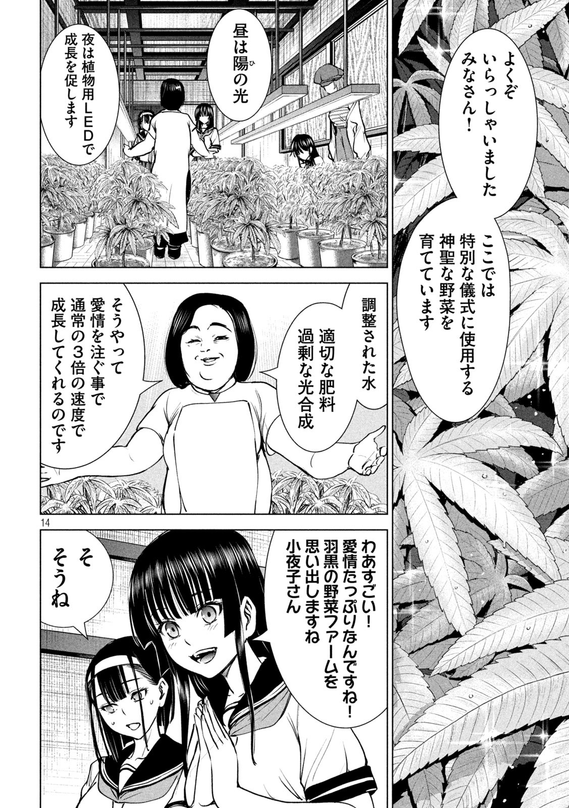 サタノファニ 第241話 - Page 14