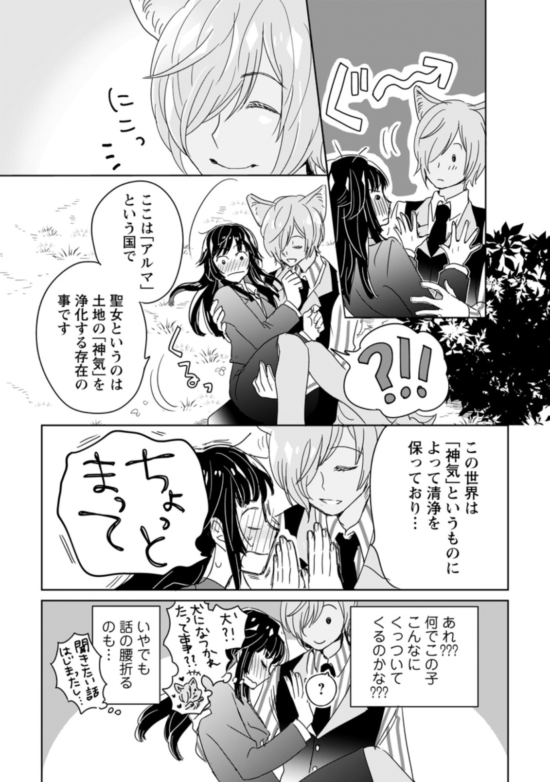 聖女じゃないと追放されたので、もふもふ従者(聖獣)とおにぎりを握る 第1.2話 - Page 11