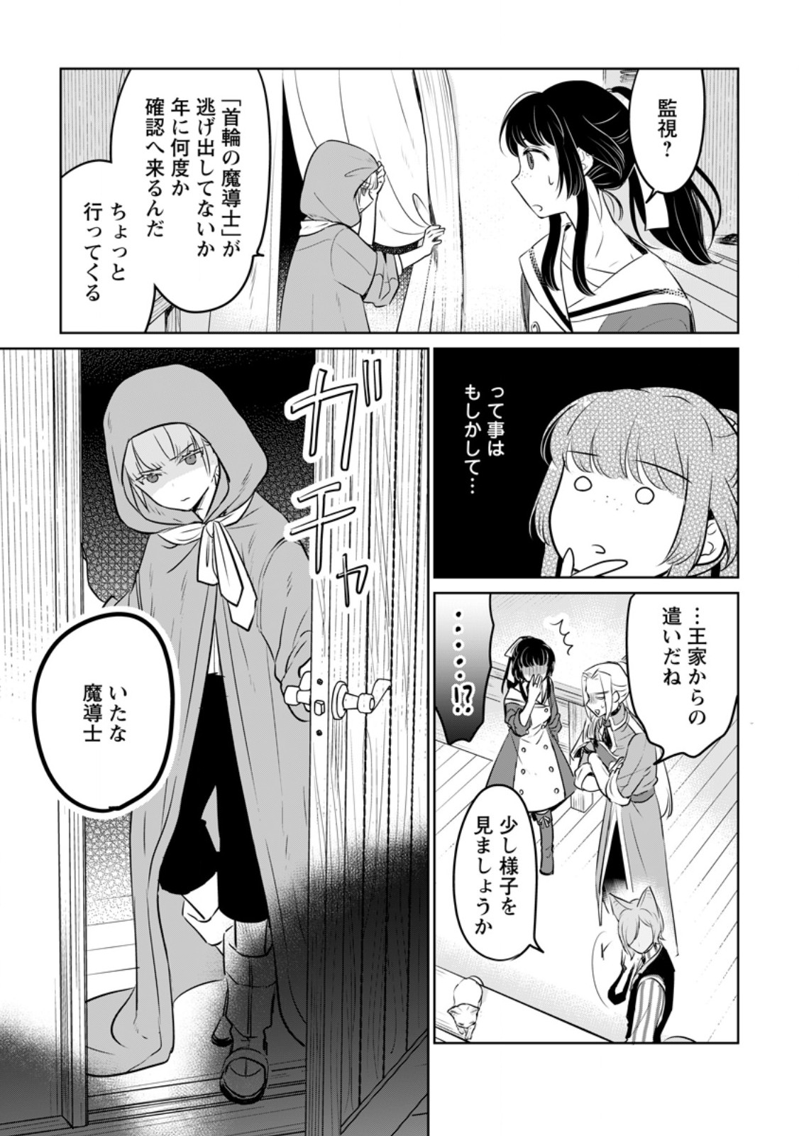 聖女じゃないと追放されたので、もふもふ従者(聖獣)とおにぎりを握る 第32.1話 - Page 5