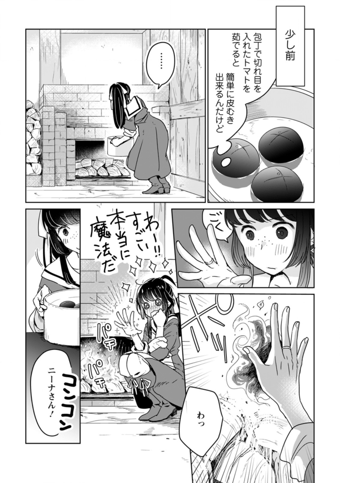 聖女じゃないと追放されたので、もふもふ従者(聖獣)とおにぎりを握る 第6.1話 - Page 4