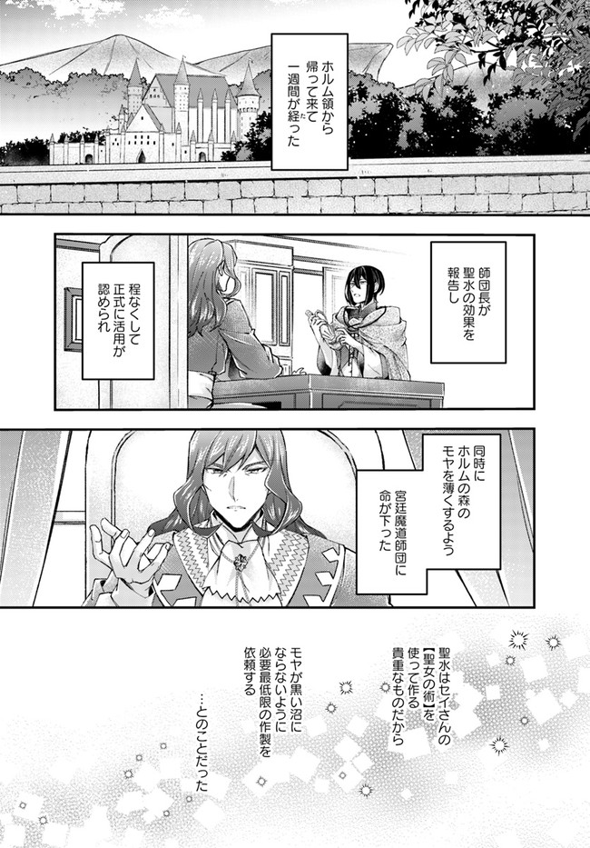 聖女の魔力は万能です～もう一人の聖女～ 第16.1話 - Page 4