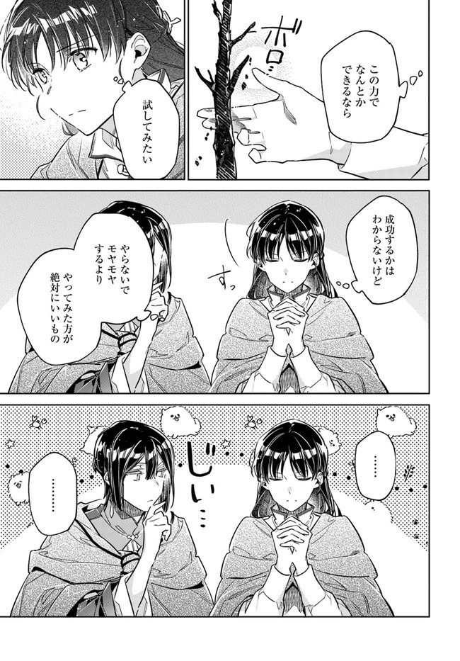 聖女の魔力は万能です 第34.4話 - Page 4