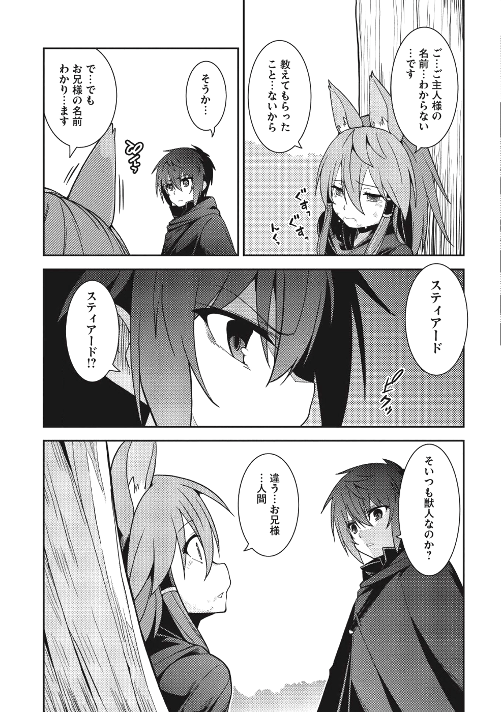 精霊幻想記～こんな世界で出会えた君に～(みなづきふたご) 第16話 - Page 19