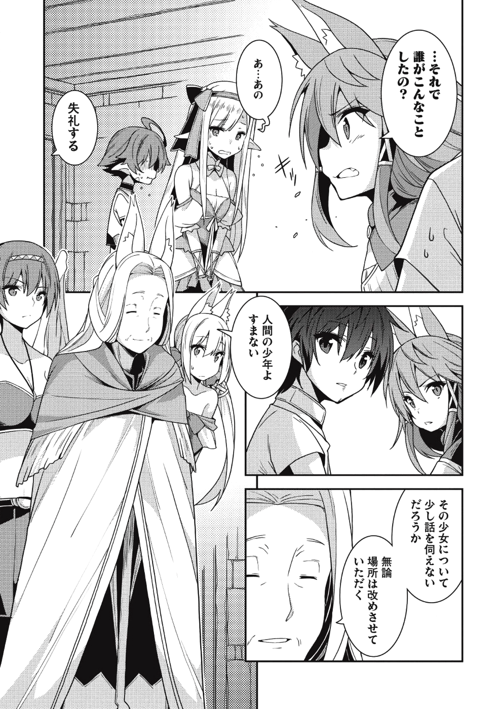 精霊幻想記～こんな世界で出会えた君に～(みなづきふたご) 第19話 - Page 17