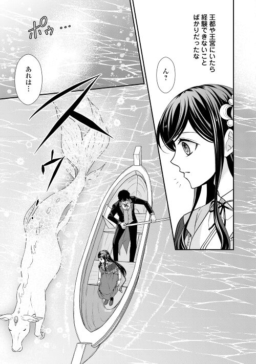 精霊守りの薬士令嬢は、婚約破棄を突きつけられたようです 第11話 - Page 23