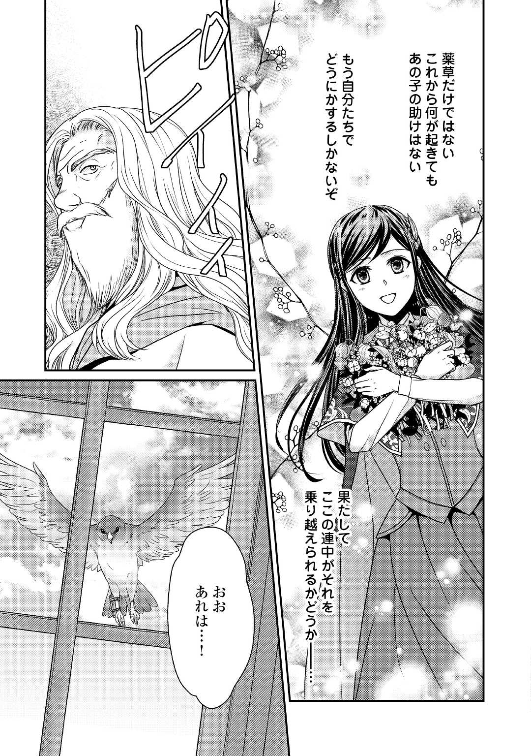 精霊守りの薬士令嬢は、婚約破棄を突きつけられたようです 第3話 - Page 19