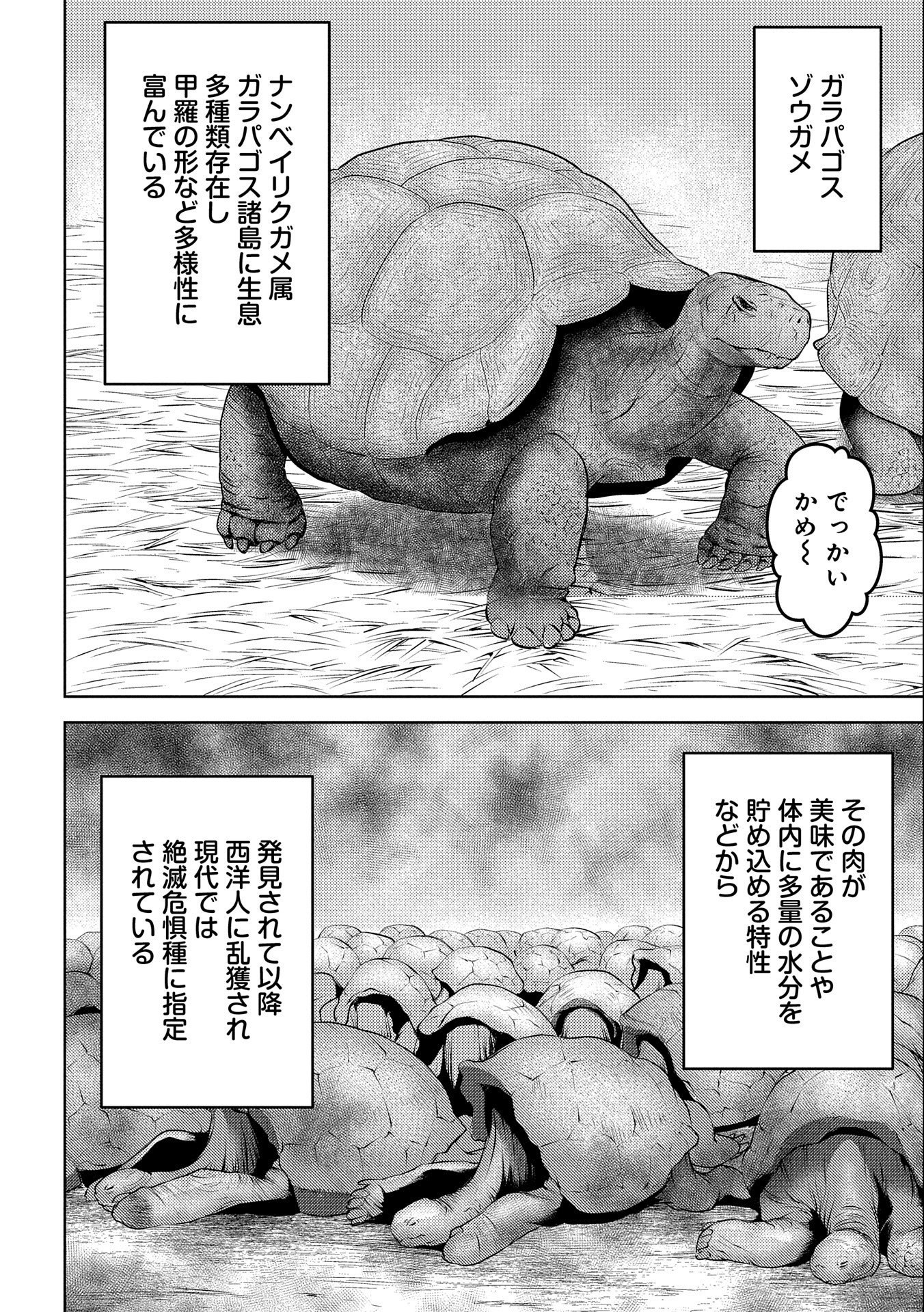 戦国小町苦労譚 第57話 - Page 6