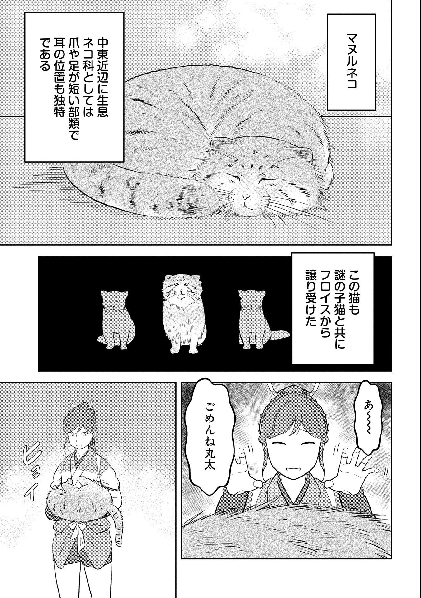 戦国小町苦労譚 第57話 - Page 13