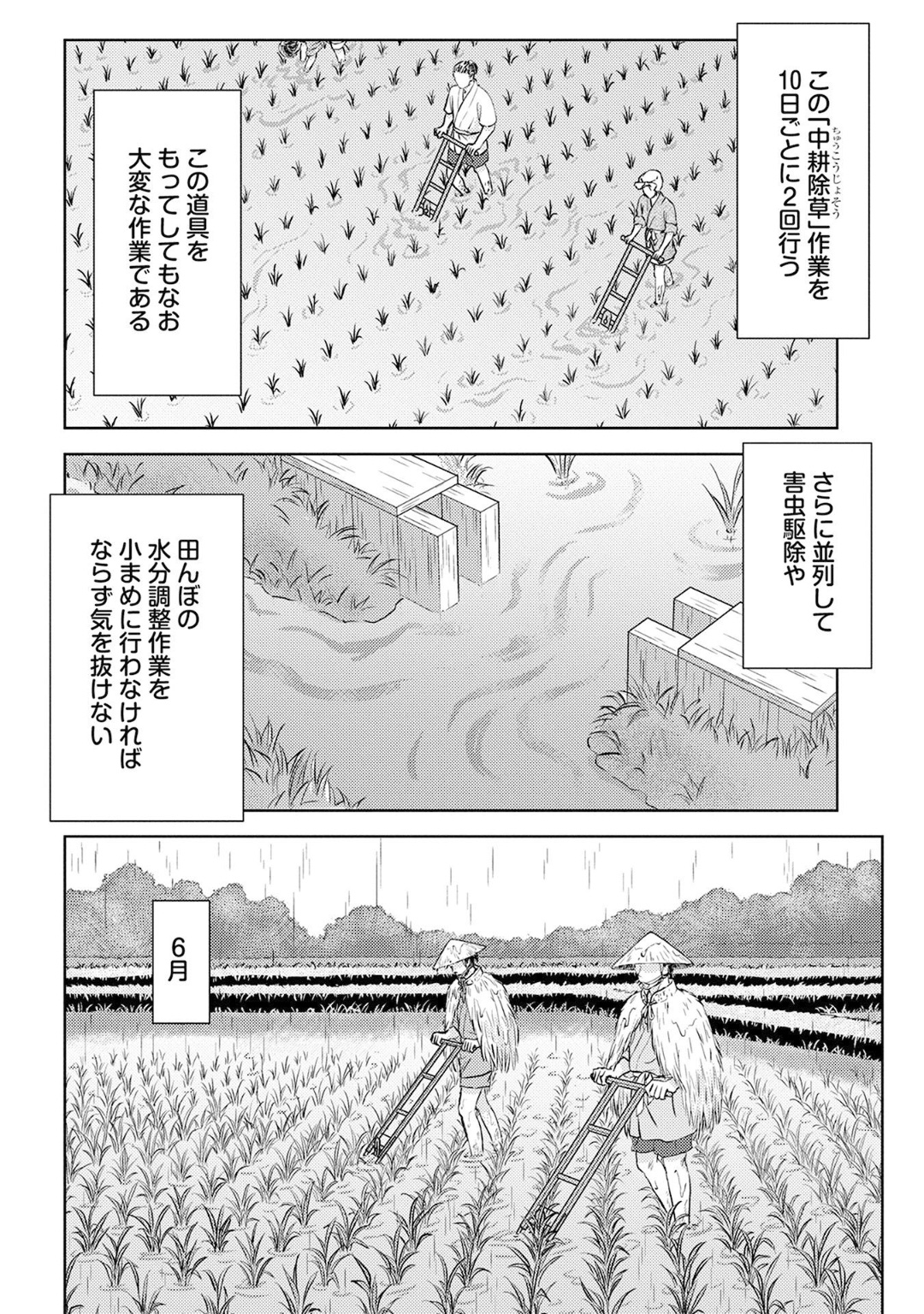 戦国小町苦労譚 第6話 - Page 31