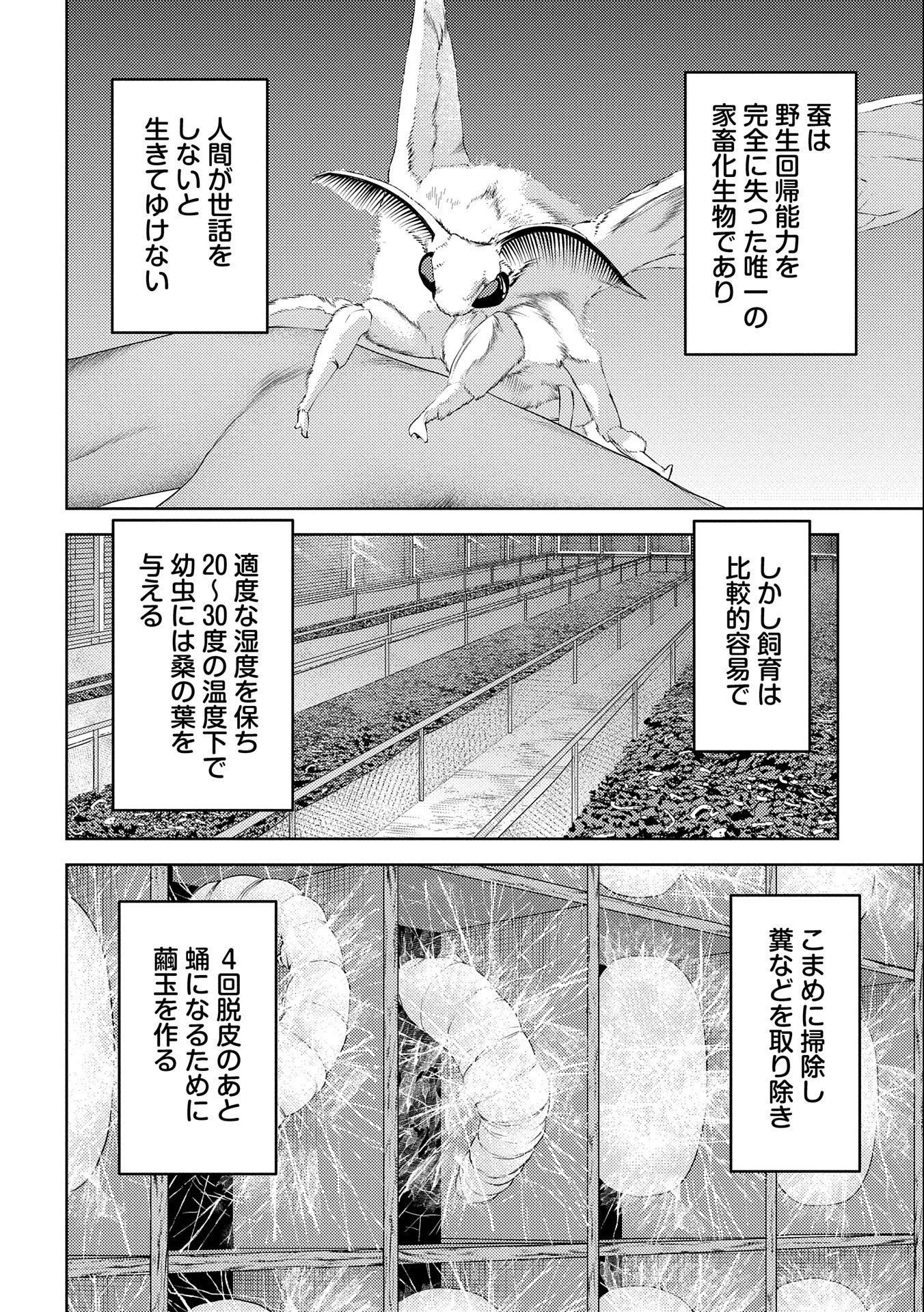 戦国小町苦労譚 第74話 - Page 5