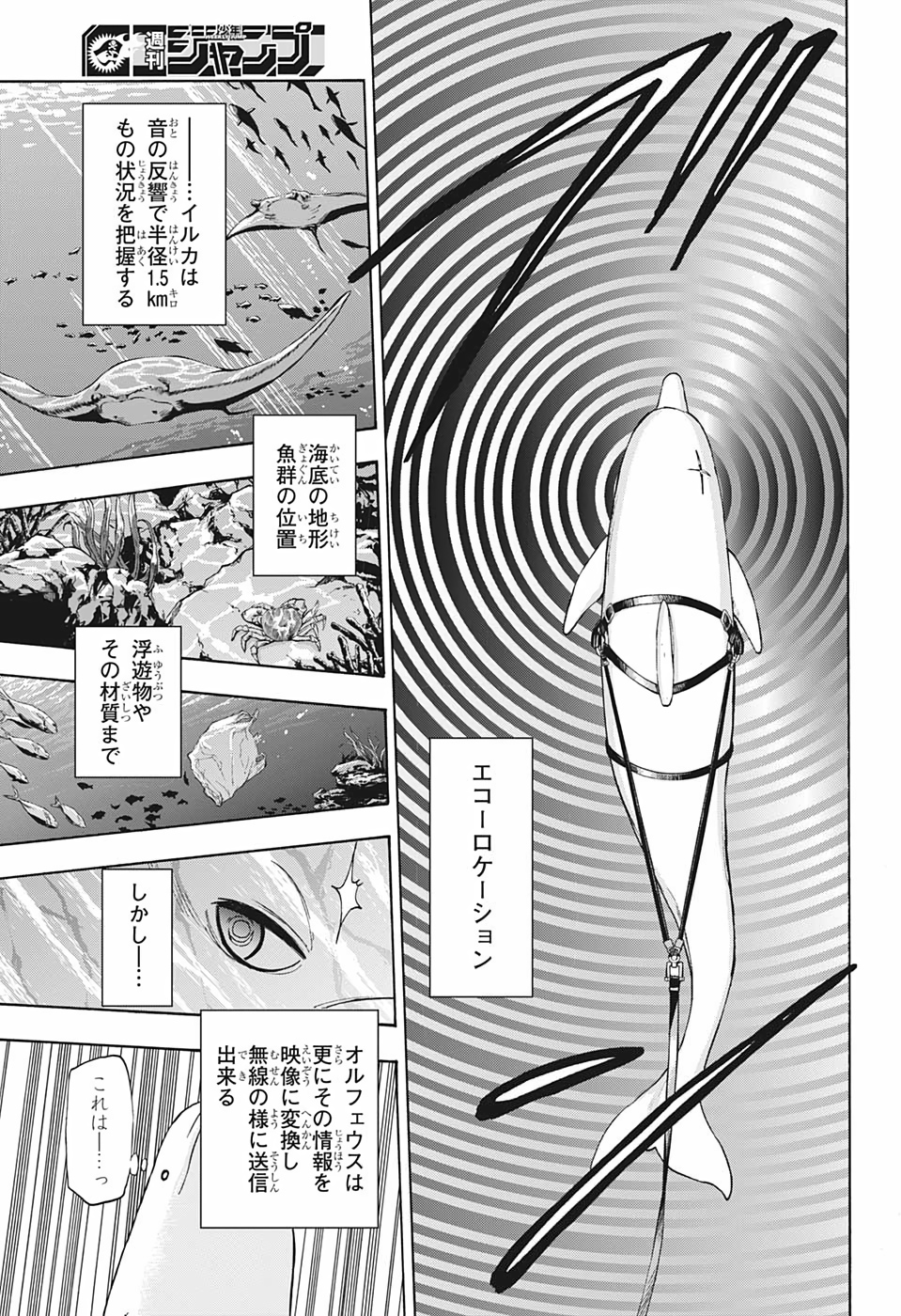 灼熱のニライカナイ 第24話 - Page 13