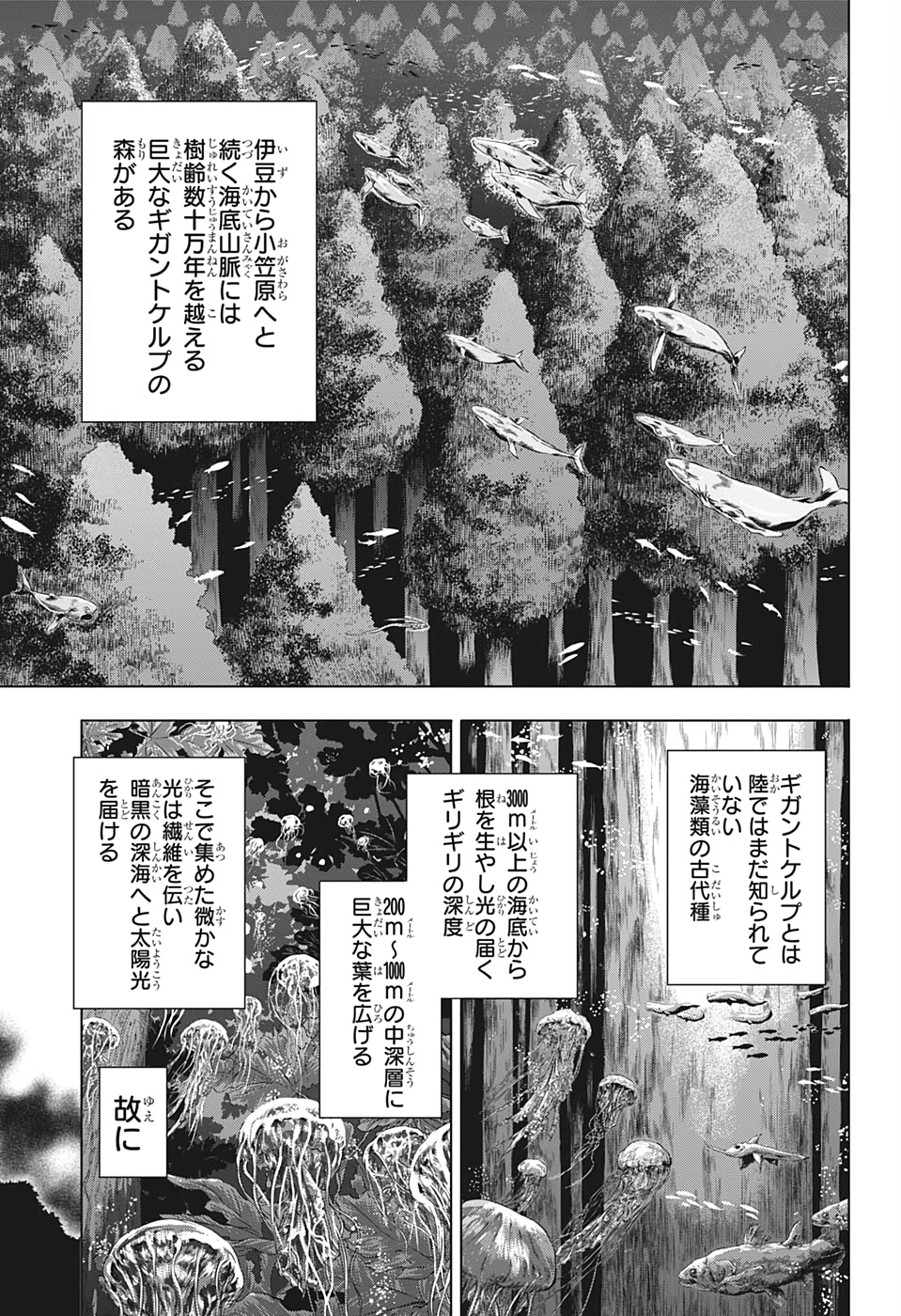 灼熱のニライカナイ 第34話 - Page 4