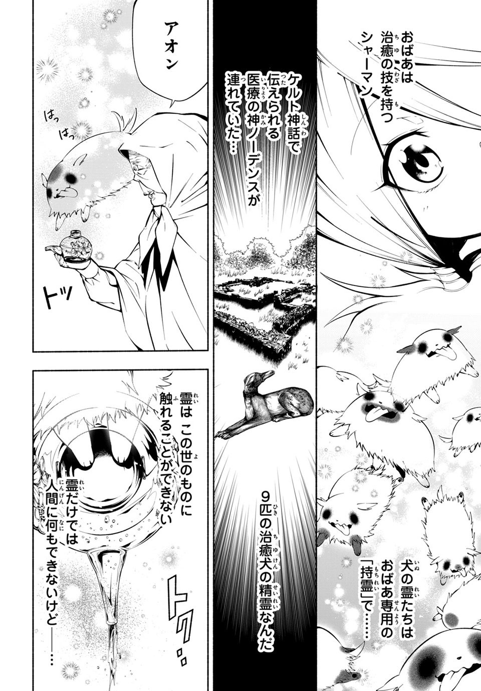 Shaman King: and a garden 第6.2話 - Page 4