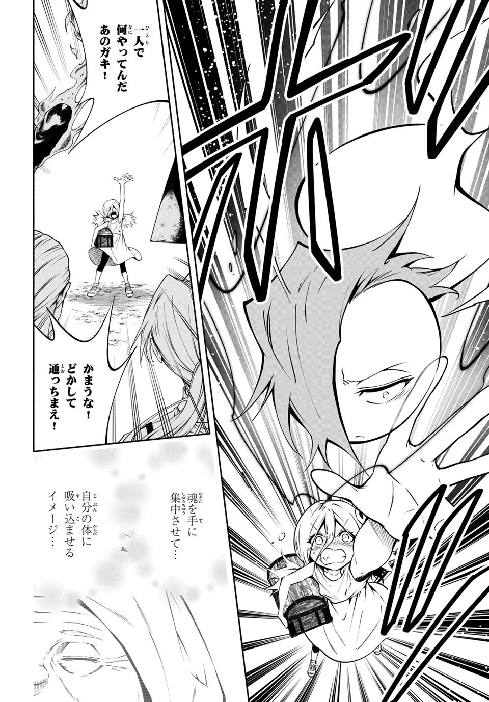 Shaman King: and a garden 第9.4話 - Page 3