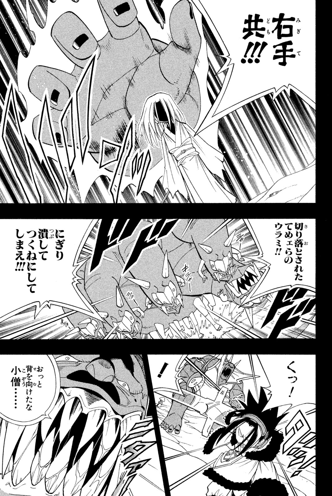 El rey shaman Król Szamanów Shaman King (Vua pháp thuật) シャーマンキング 第176話 - Page 11