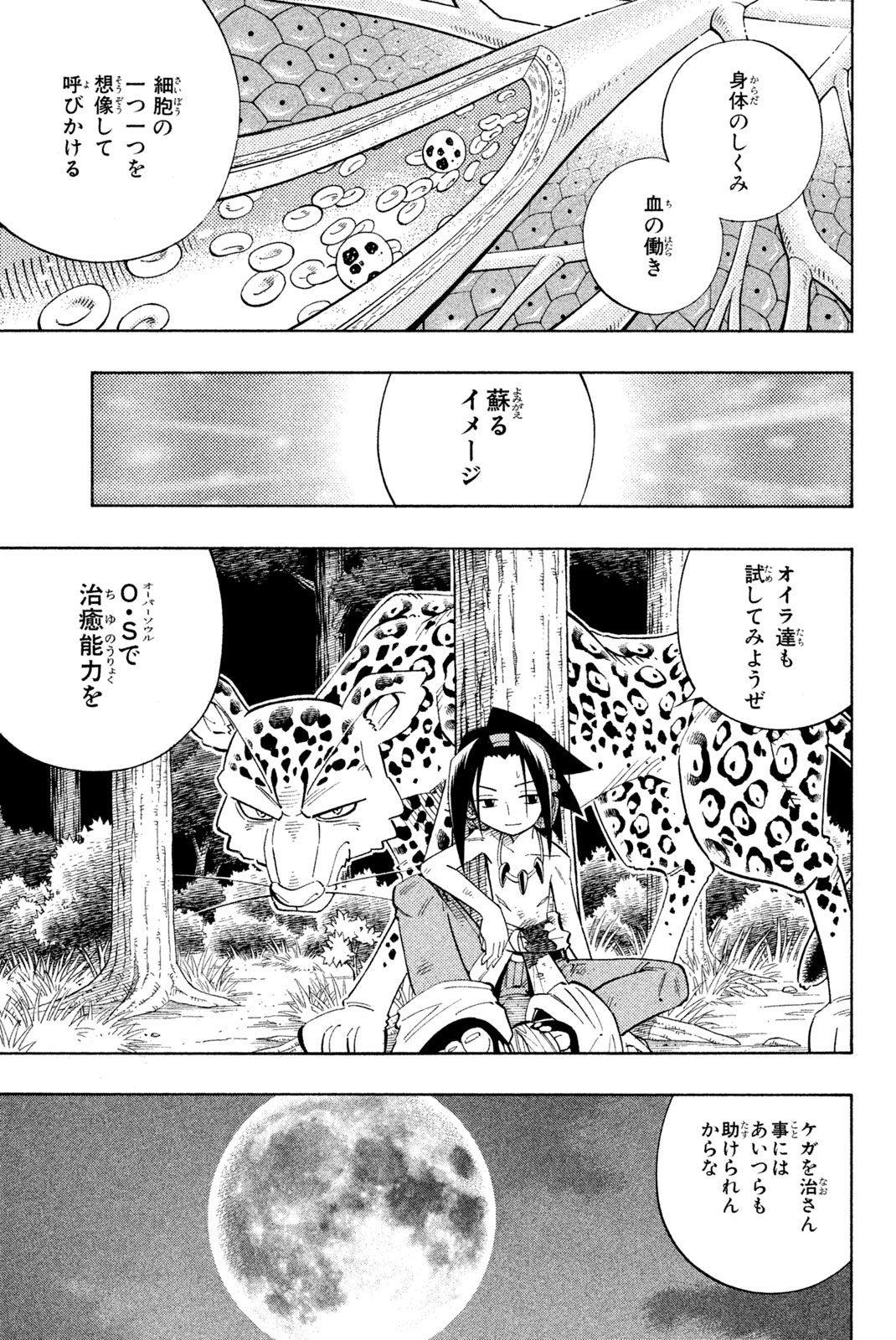 El rey shaman Król Szamanów Shaman King (Vua pháp thuật) シャーマンキング 第195話 - Page 15