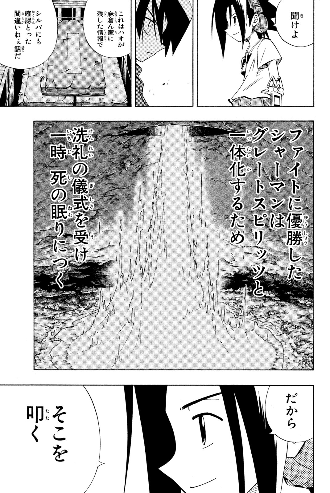 El rey shaman Król Szamanów Shaman King (Vua pháp thuật) シャーマンキング 第219話 - Page 13