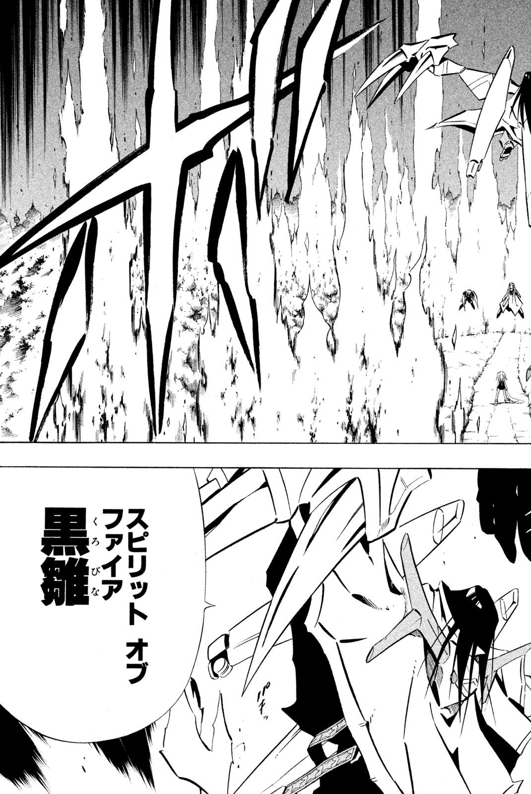 El rey shaman Król Szamanów Shaman King (Vua pháp thuật) シャーマンキング 第250話 - Page 13